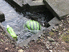 camp23 (157)_samu.gif